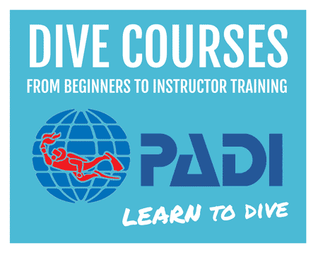 PADI Dive courses in Dahab