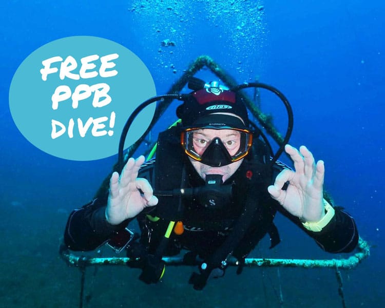 Free PPB Dive